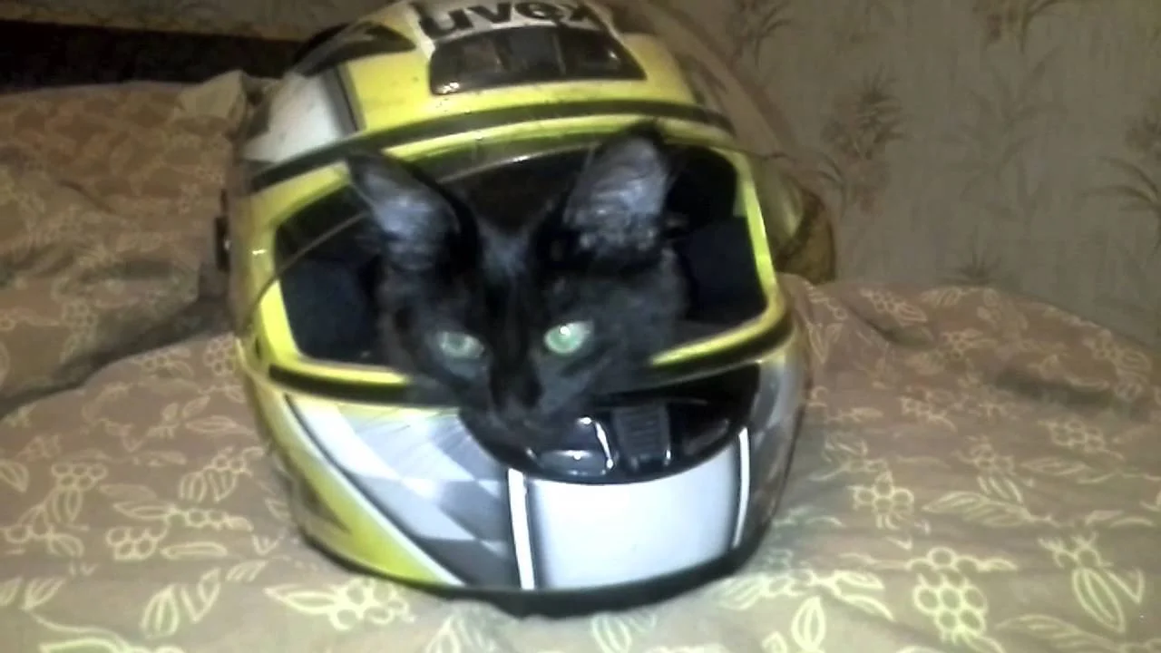 maxresdefault (2).webp