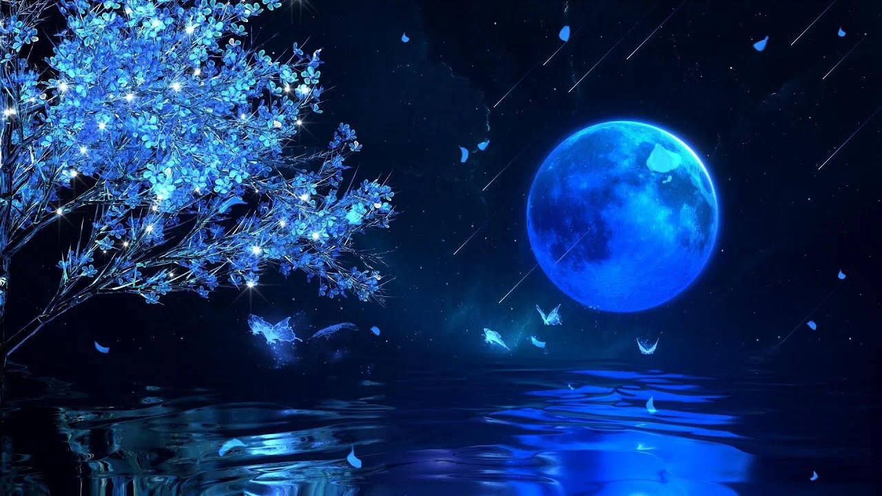 maxresdefault (3).webp