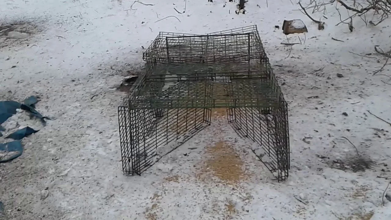 maxresdefault (3).webp