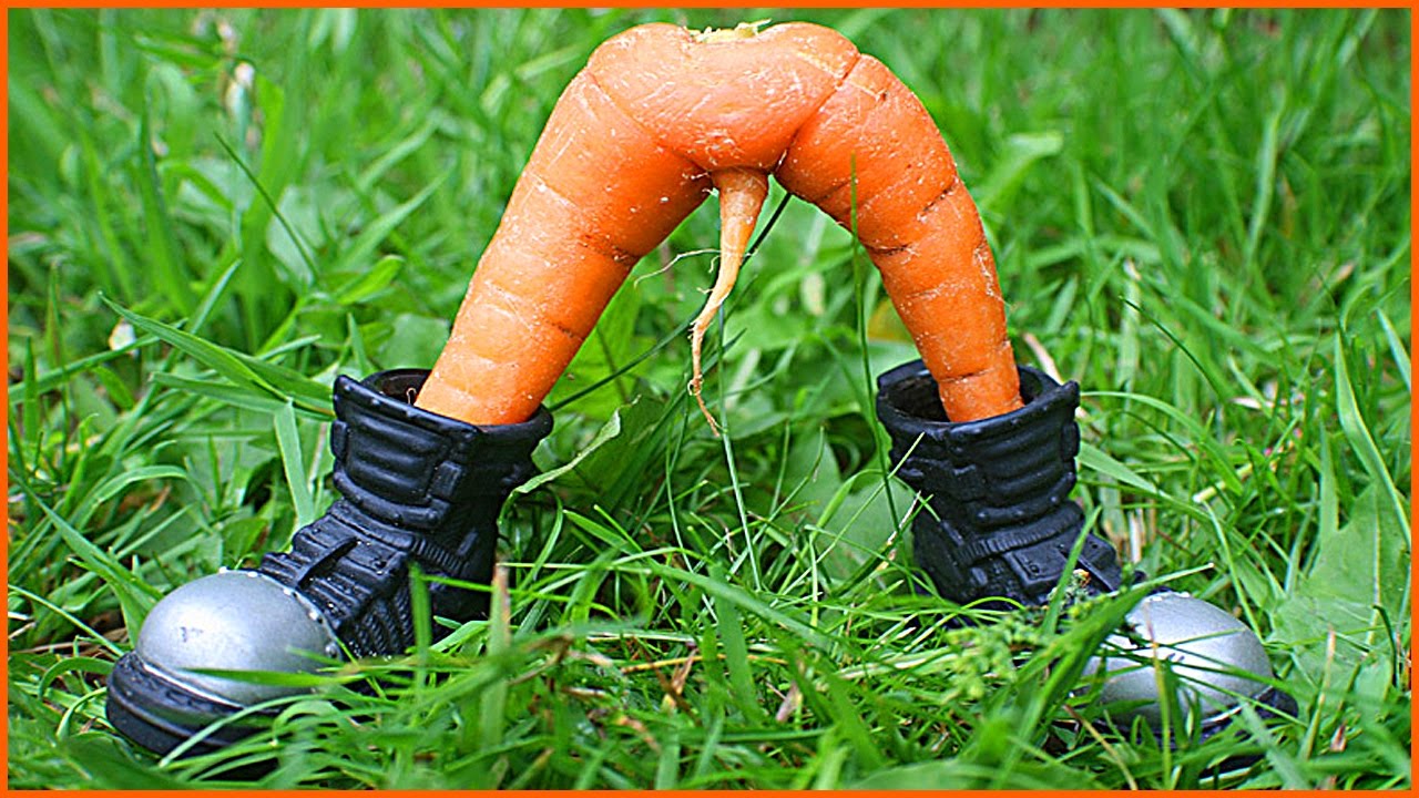 maxresdefault (4).jpg