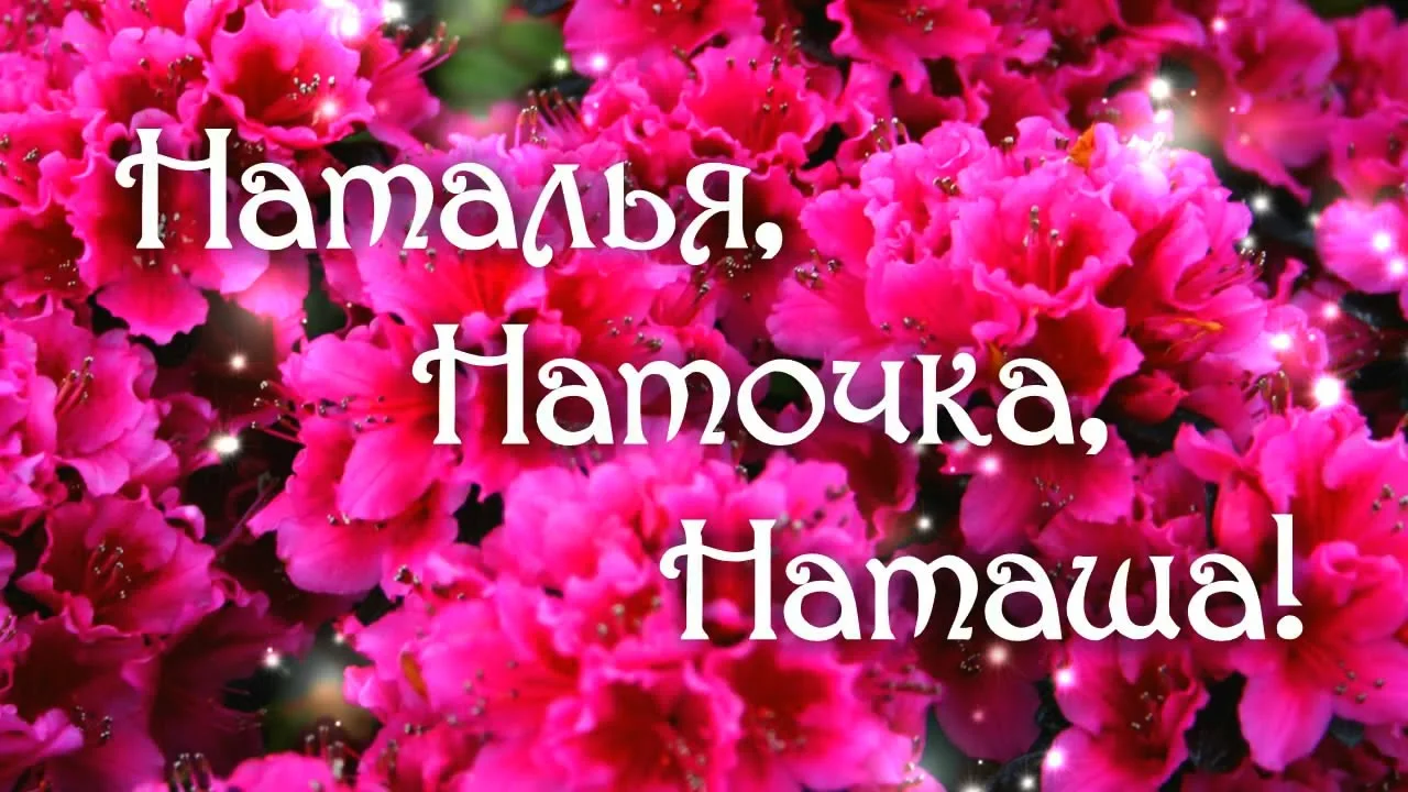 maxresdefault (4).webp