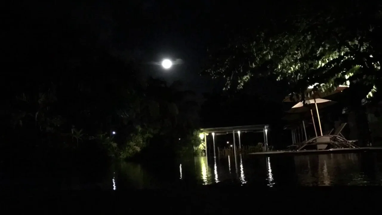 maxresdefault (5).webp