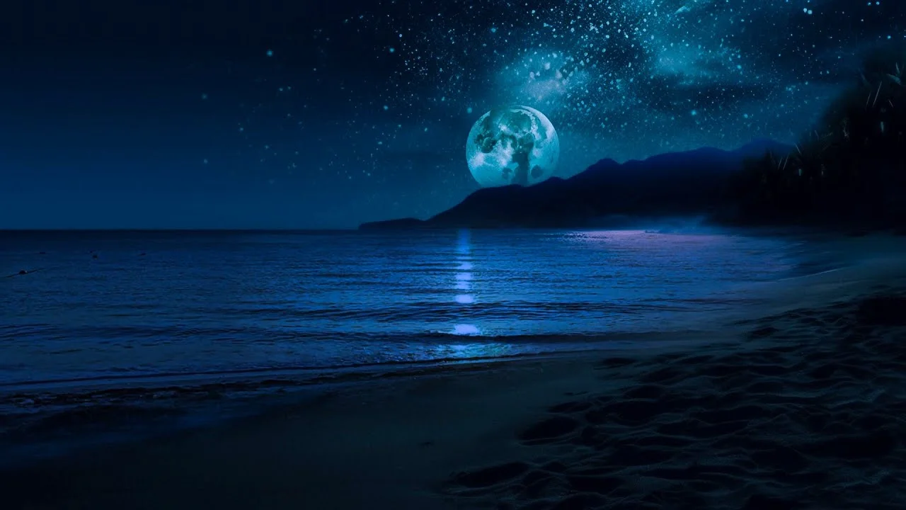 maxresdefault (8).webp