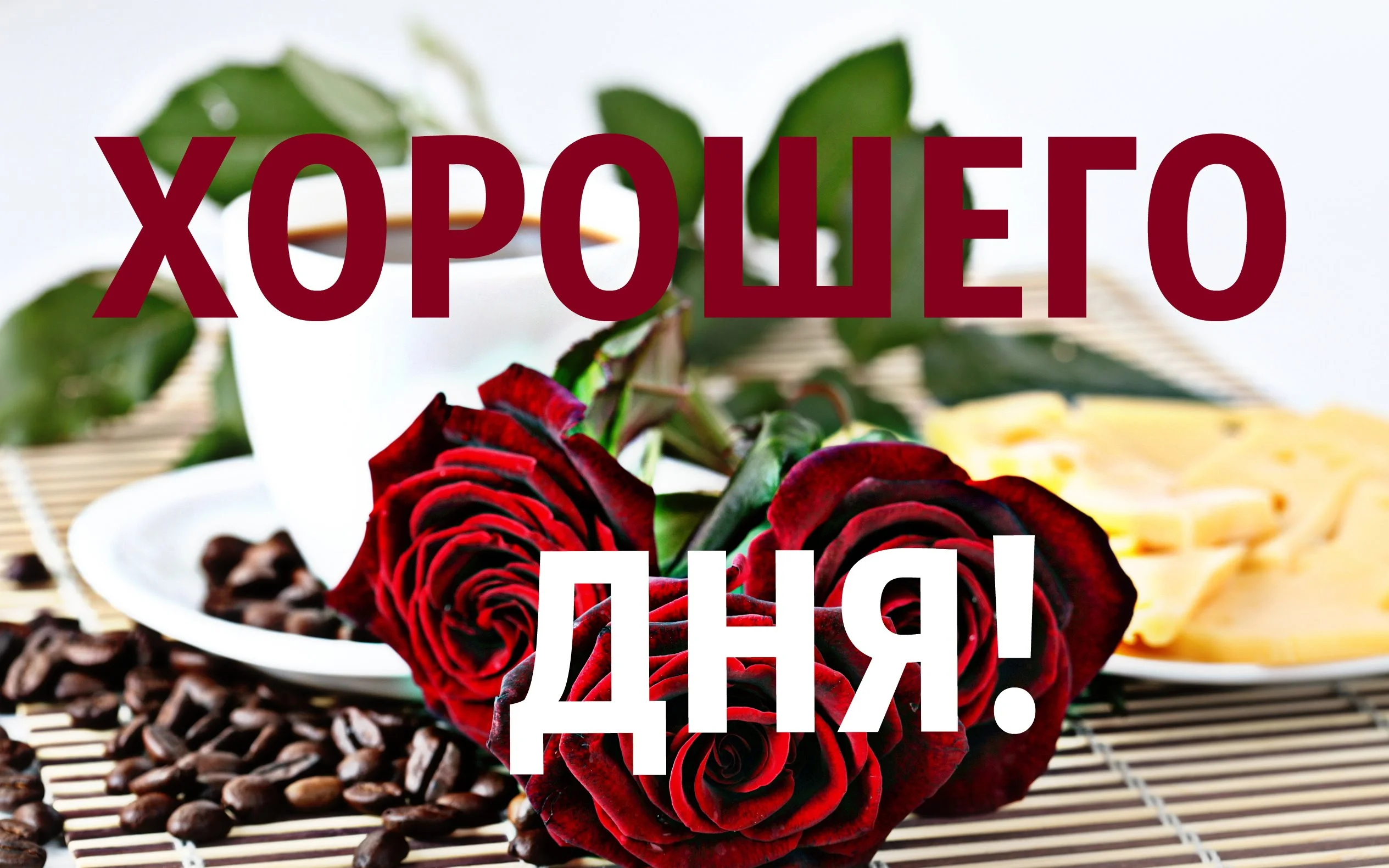 maxresdefault.webp