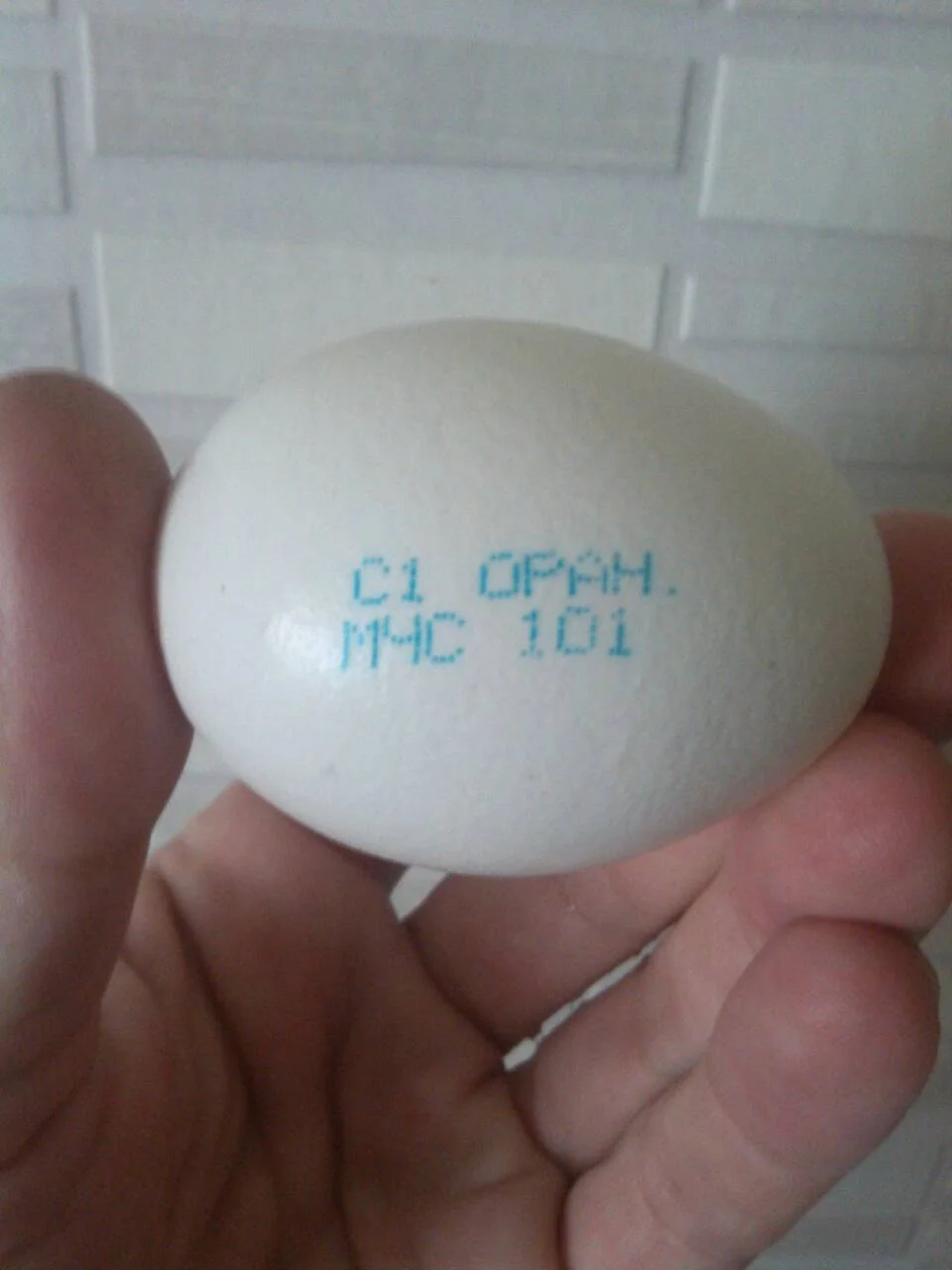 Мчс яйцо.webp