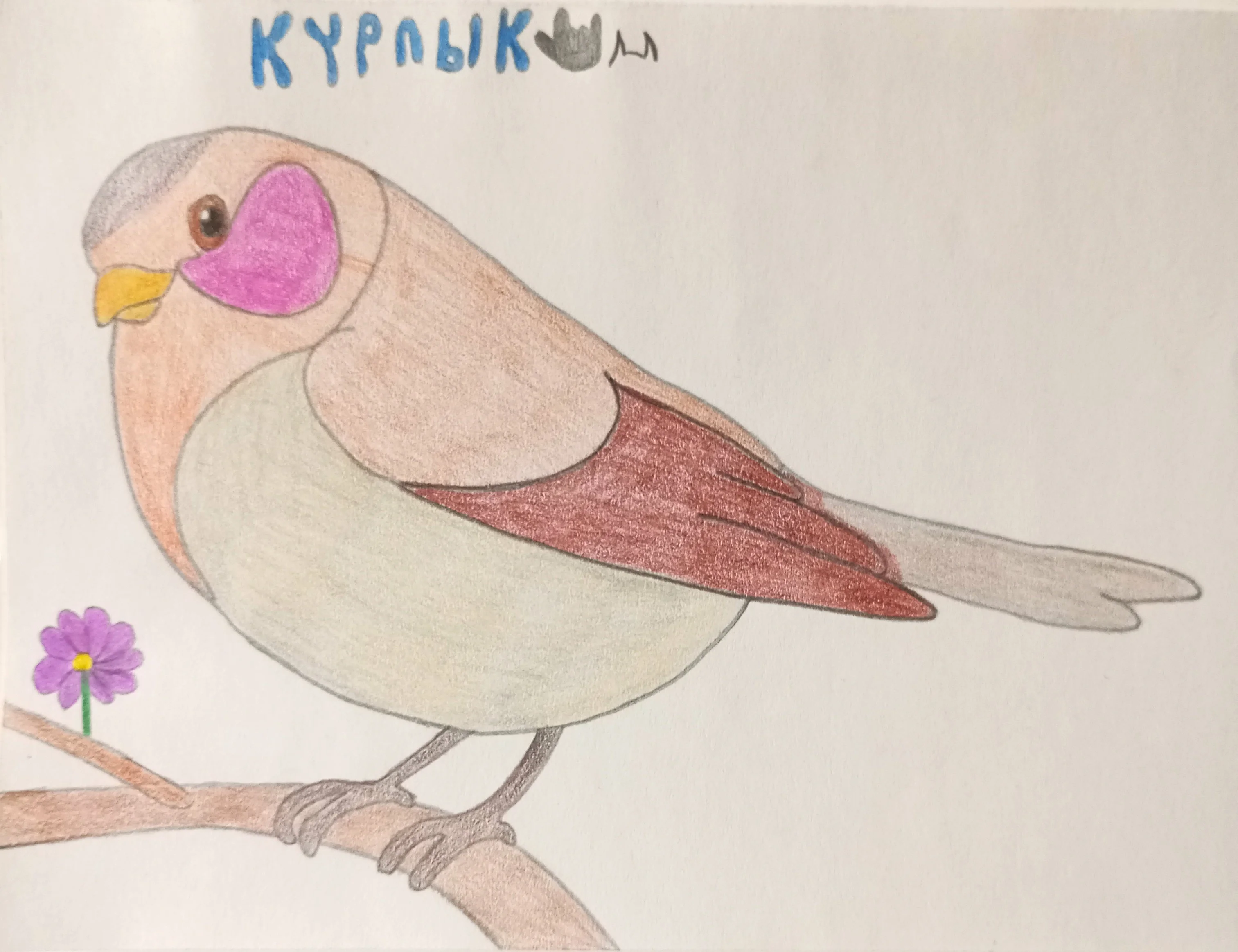 Мдень птиц.webp