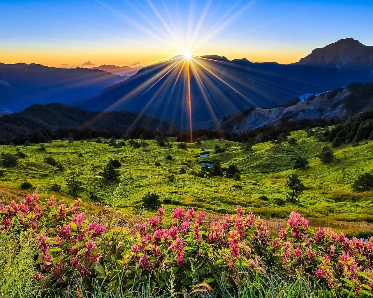 meadow_flowers_mountains_grass_dawn_101071_1280x1024.webp