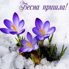 medium_vesna0007-600x600.webp