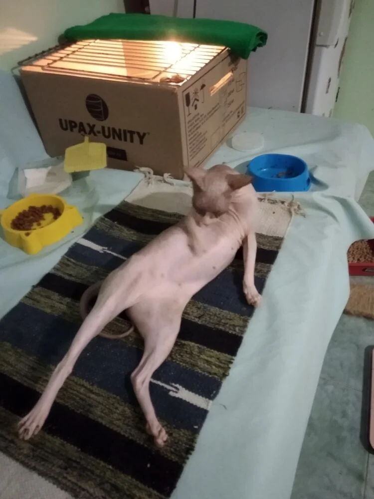 Мэри, мы моемся.webp