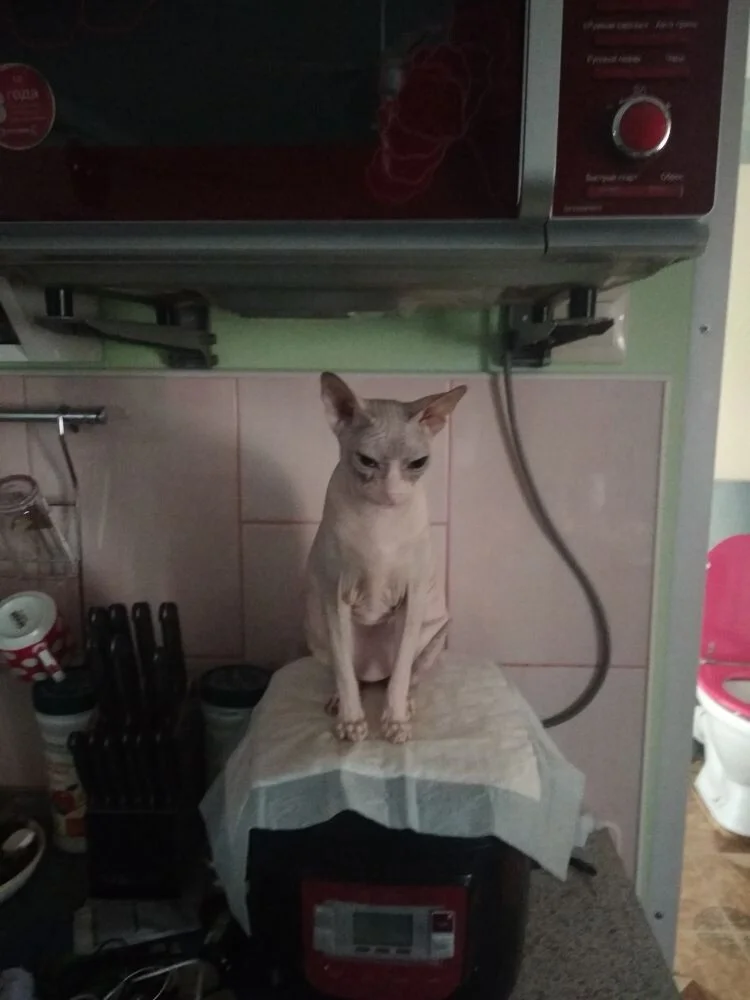 Мэрюша, греемся.webp