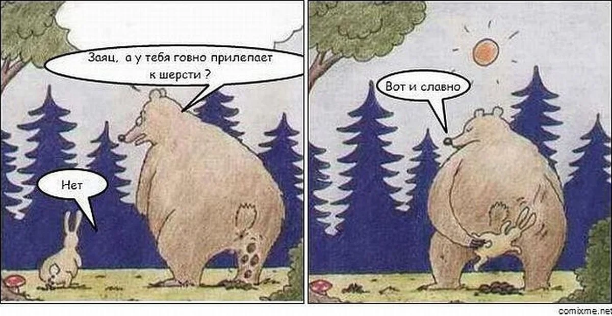 мендведь и заяц.webp