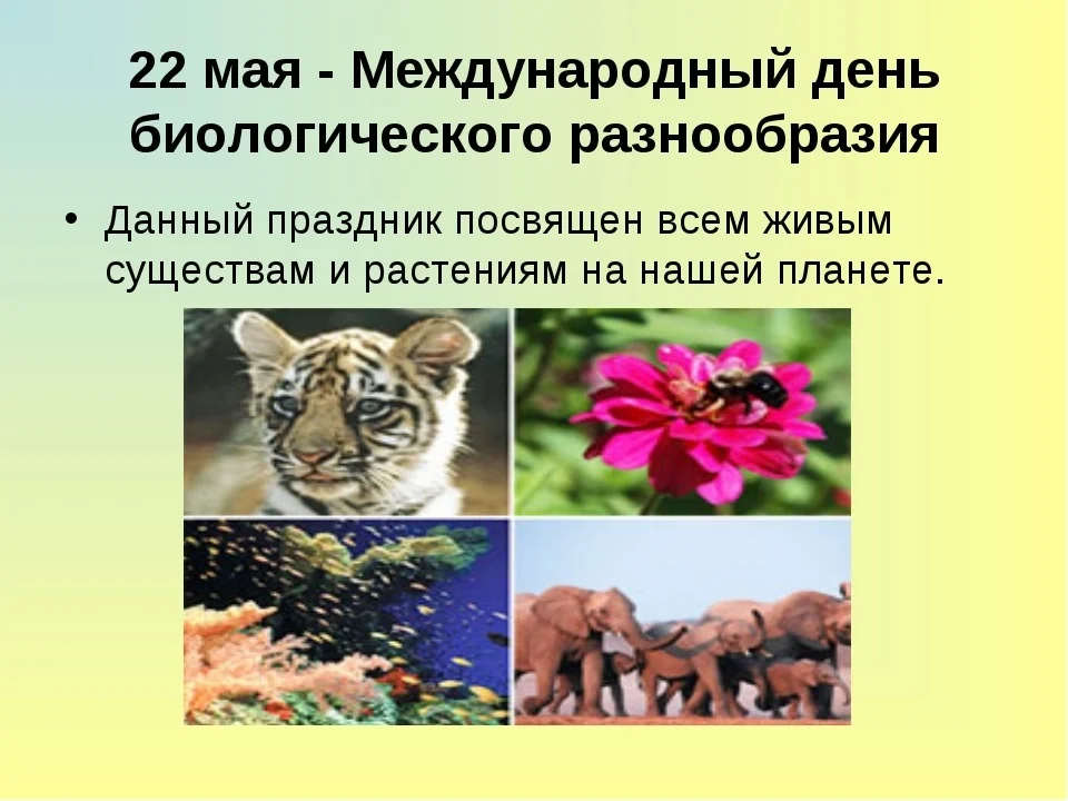 Международный-день-биологического-разнообразия-004.webp