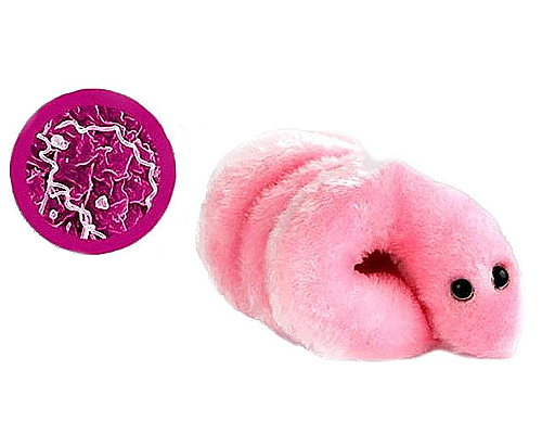 microbe_GM007_sbig_1.jpg