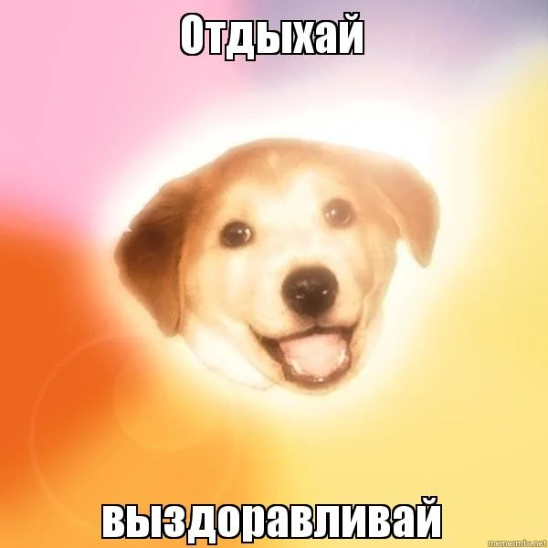 Мике.webp
