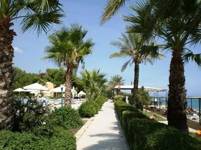 мики  крым.webp