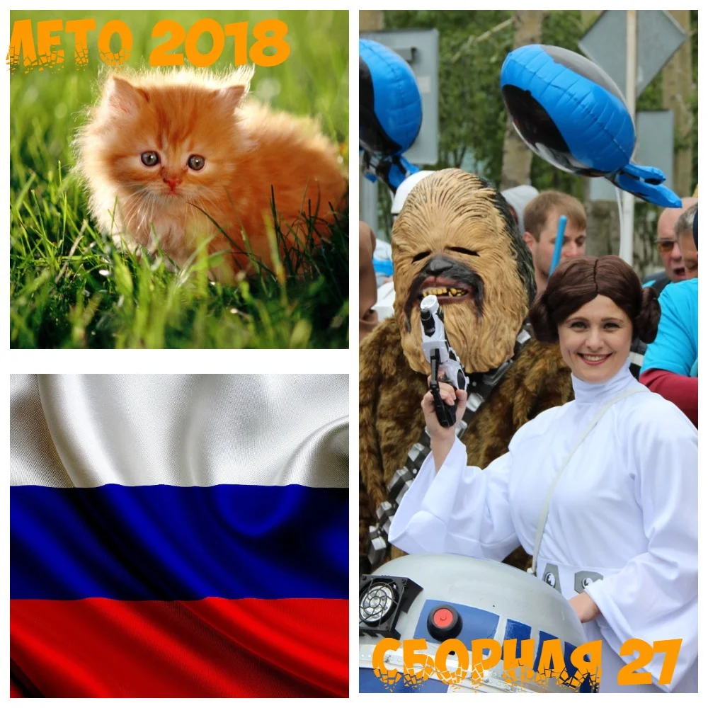 Милая коллаж.webp