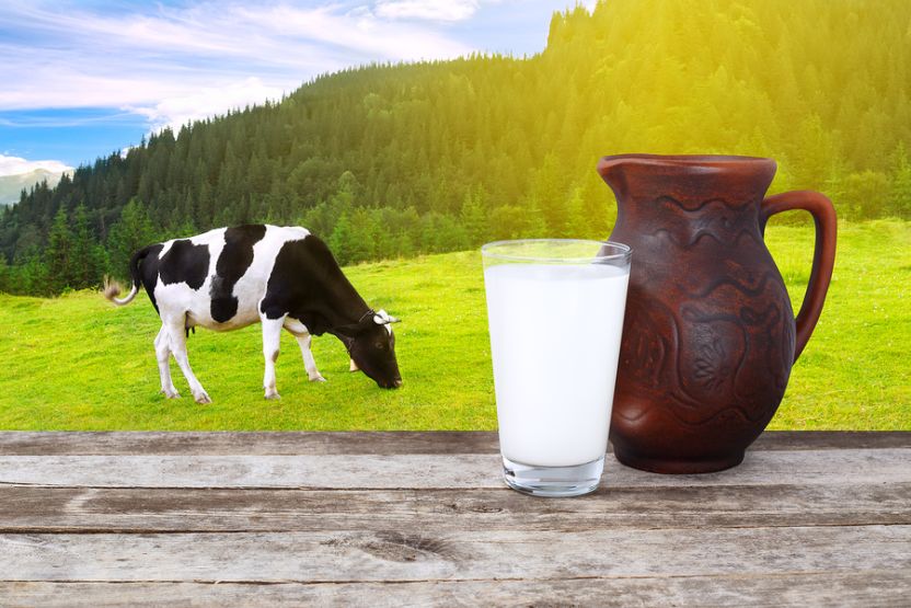 milk-in-glass-with-cow-in-background-f117810bb9.jpg