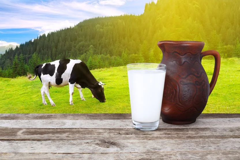 milk-in-glass-with-cow-in-background-f117810bb9.webp