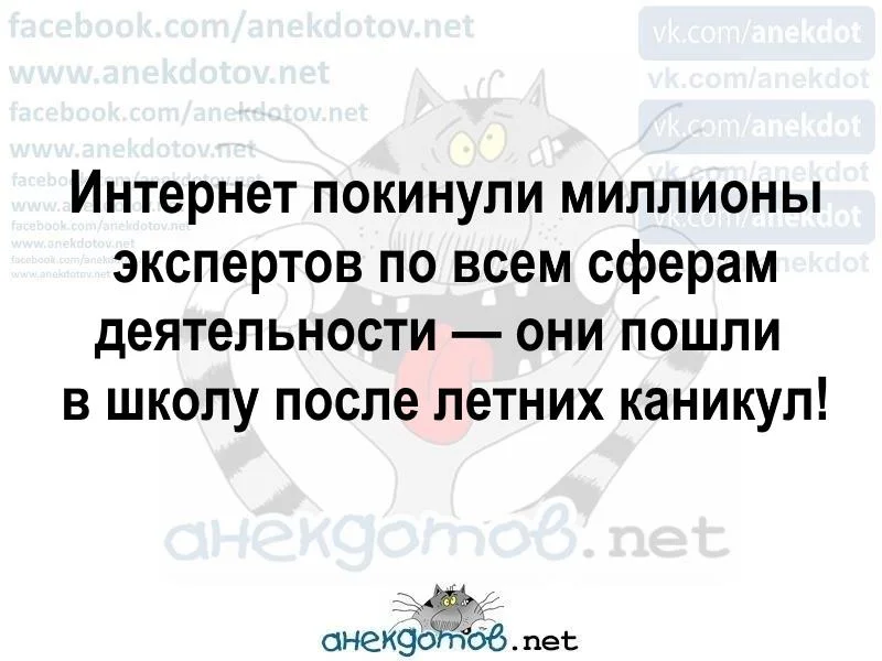 миллионы экспертов.webp