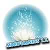 MINDFULLNESS 1.1..webp