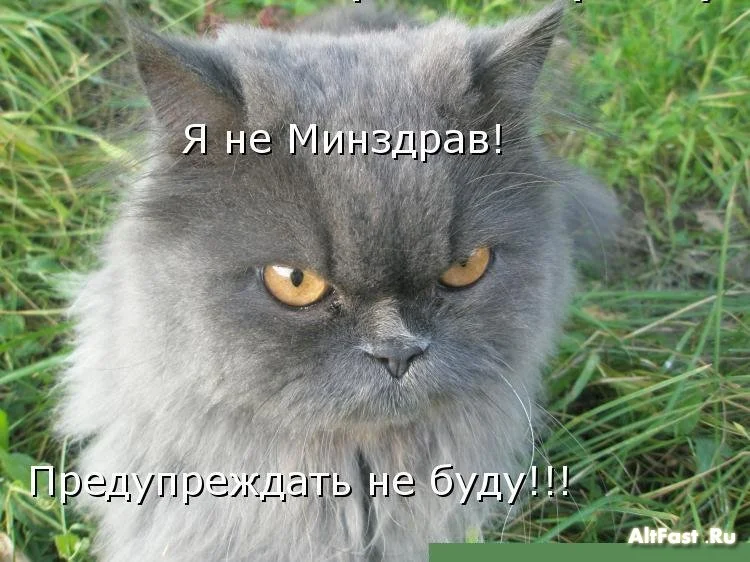 минздаа.webp