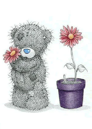 мишка тедди.webp