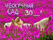 mishka30_1.webp
