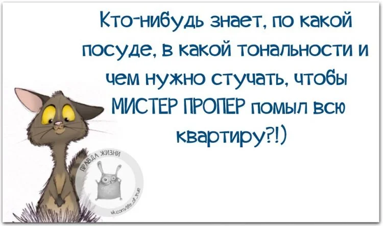 мистер попер.webp