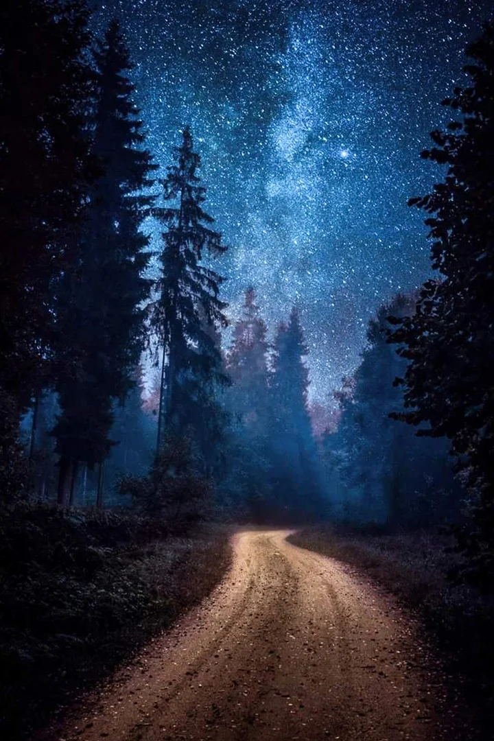 MkSkVglmtZs (1).webp