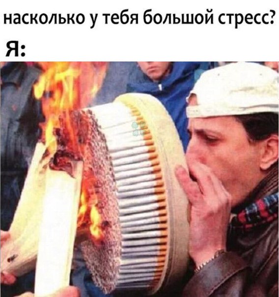 MkSufEn8uLU.jpg