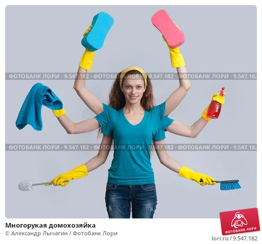 mnogorukaya-domohozyaika-0009547182-preview.webp