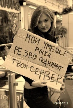 мои ручки.webp