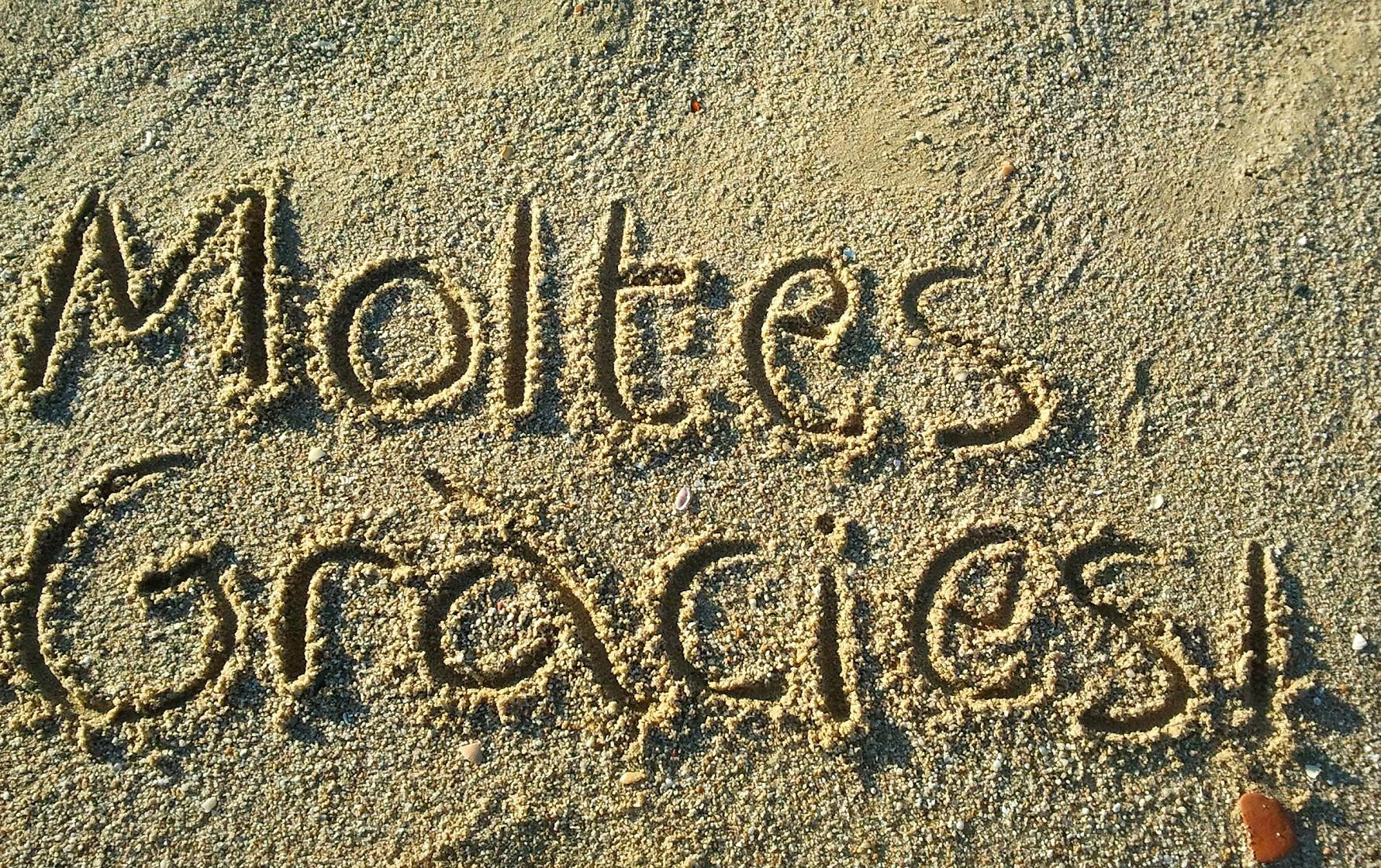 moltes-gracies 2.webp