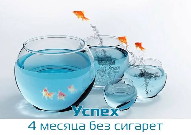 mon0401.webp