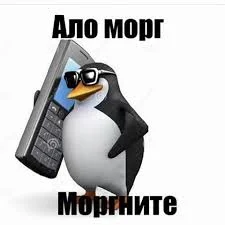 моргните.webp