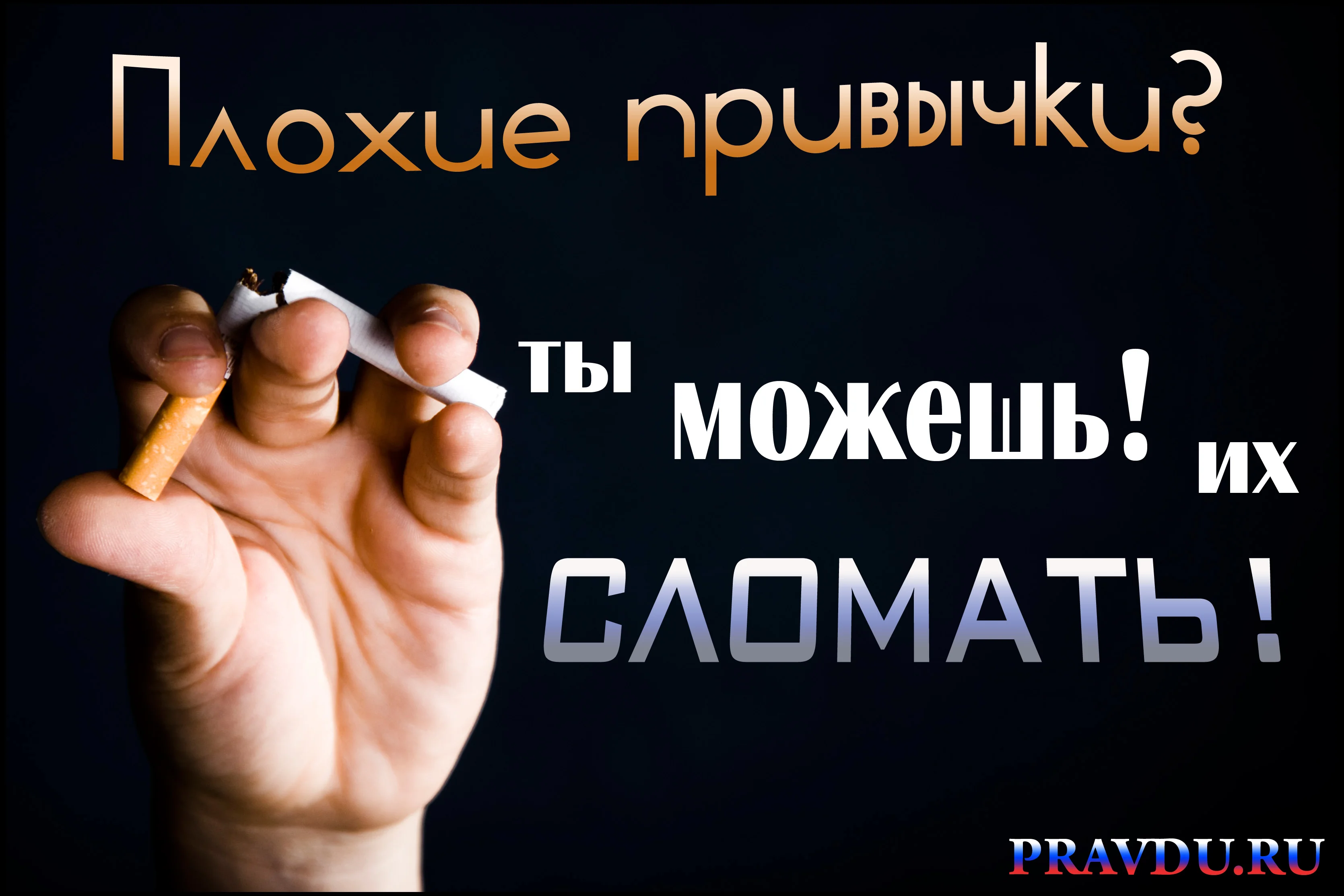 мот17.webp