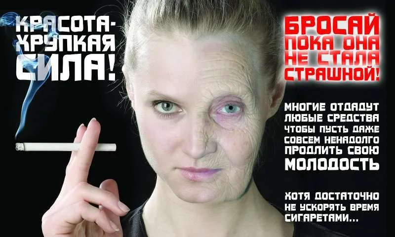 мот22.webp