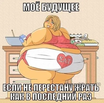 moti_opt.webp