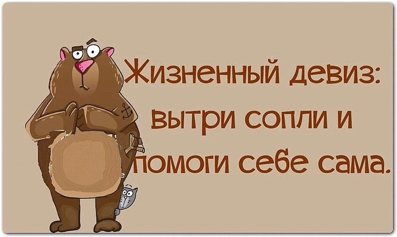 мотив.webp