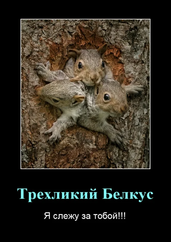 Motivational (Vertical).webp