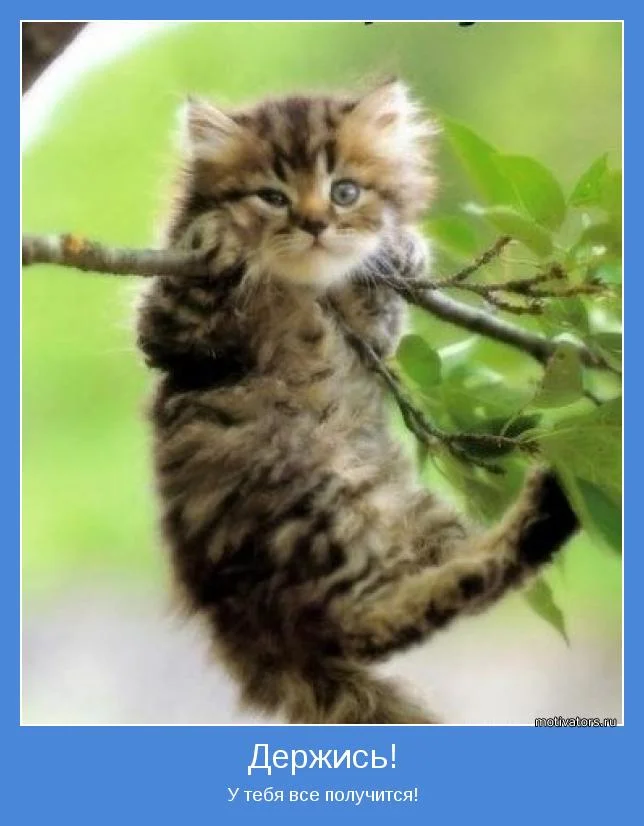 motivator-15099.webp