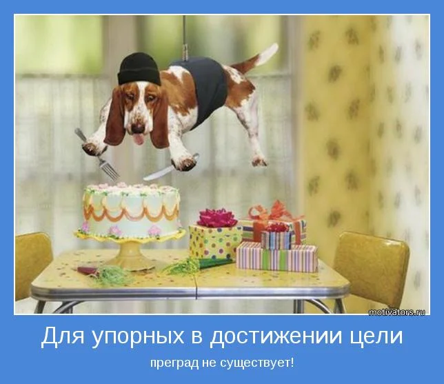 motivator-18502.webp