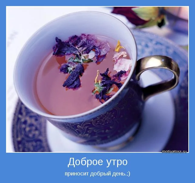 motivator-28099 (1).webp