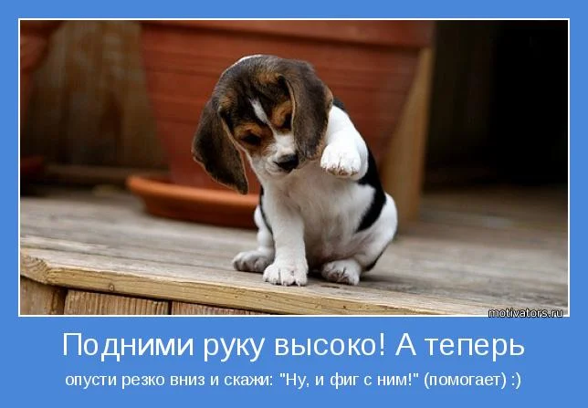 motivator-41642.webp