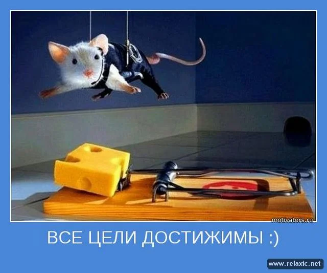 motivators_034.webp
