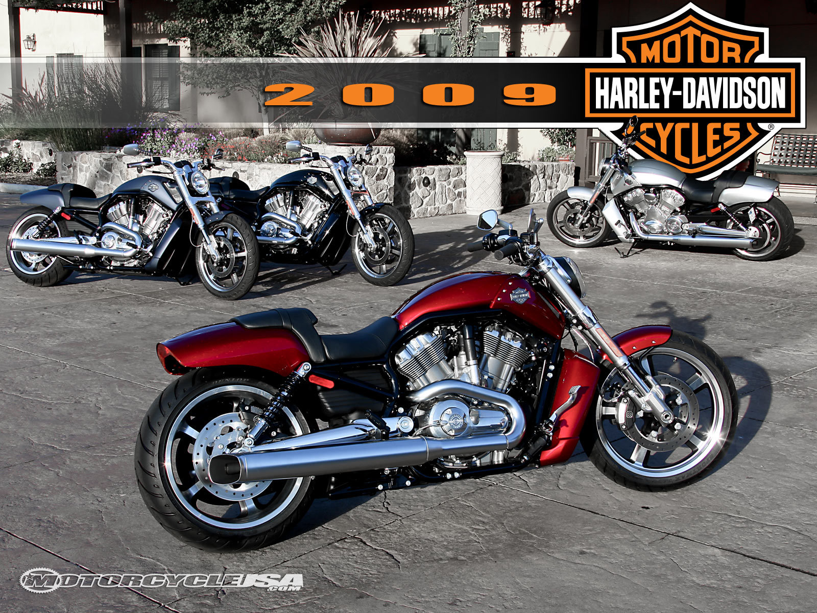 Motocycles_New_motorcycle_Harley-Davidson_V-Rod_Muscle__073119_.jpg