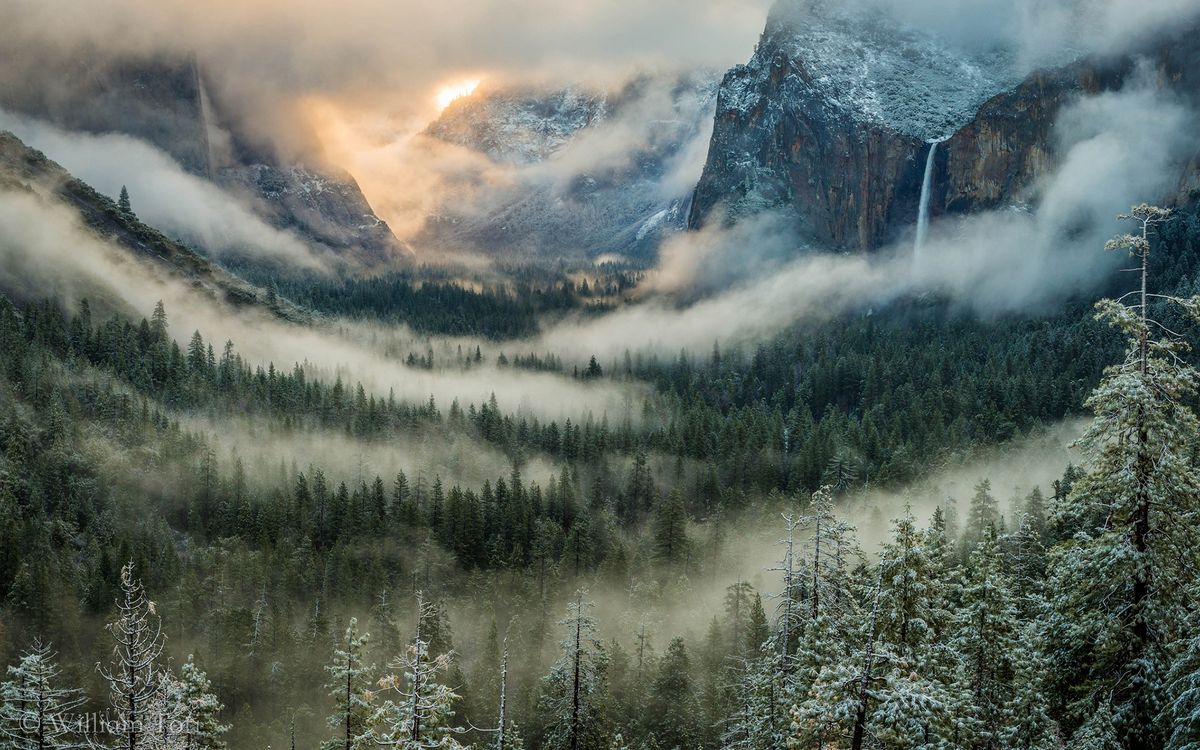 mountain-fog-trees-valley.jpeg