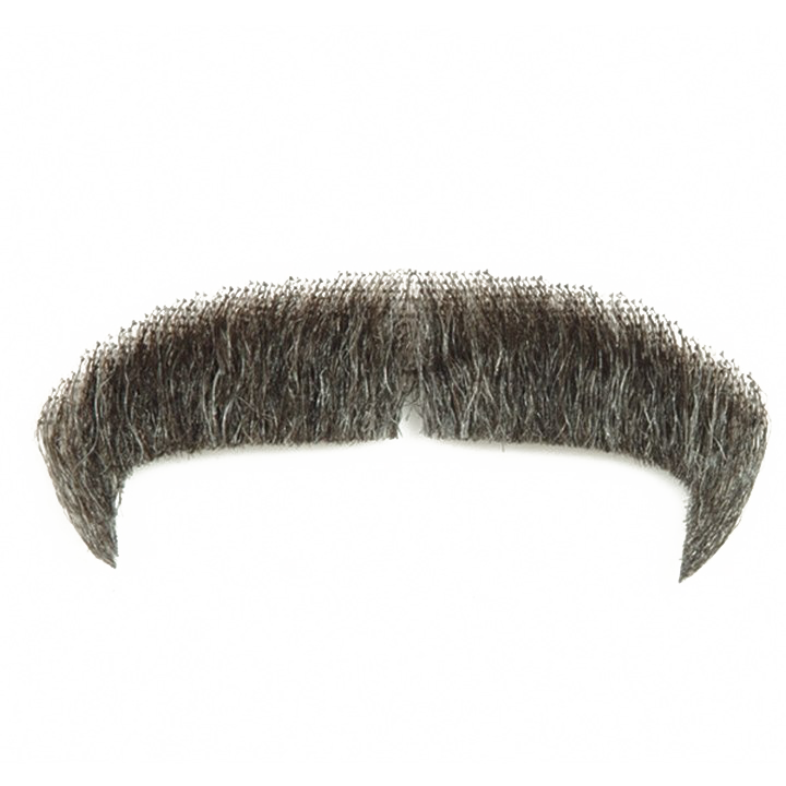 Moustache-PNG-Image-Transparent.png