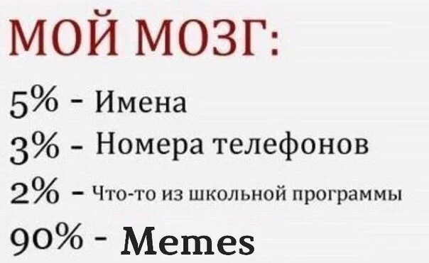 mozgi-memy-78661152_orig_.webp