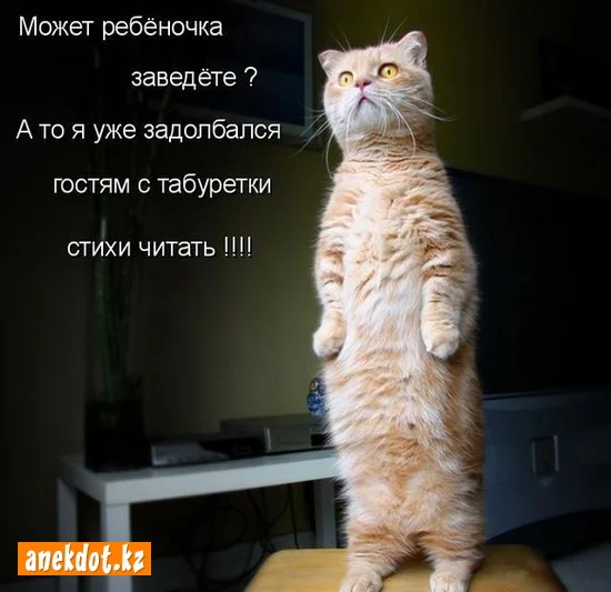 mozhet-rebenochka-zavedete-a-to-ya-uzhe-zadolbalsya-gostyam-s-taburetki-stihi-chitat.webp